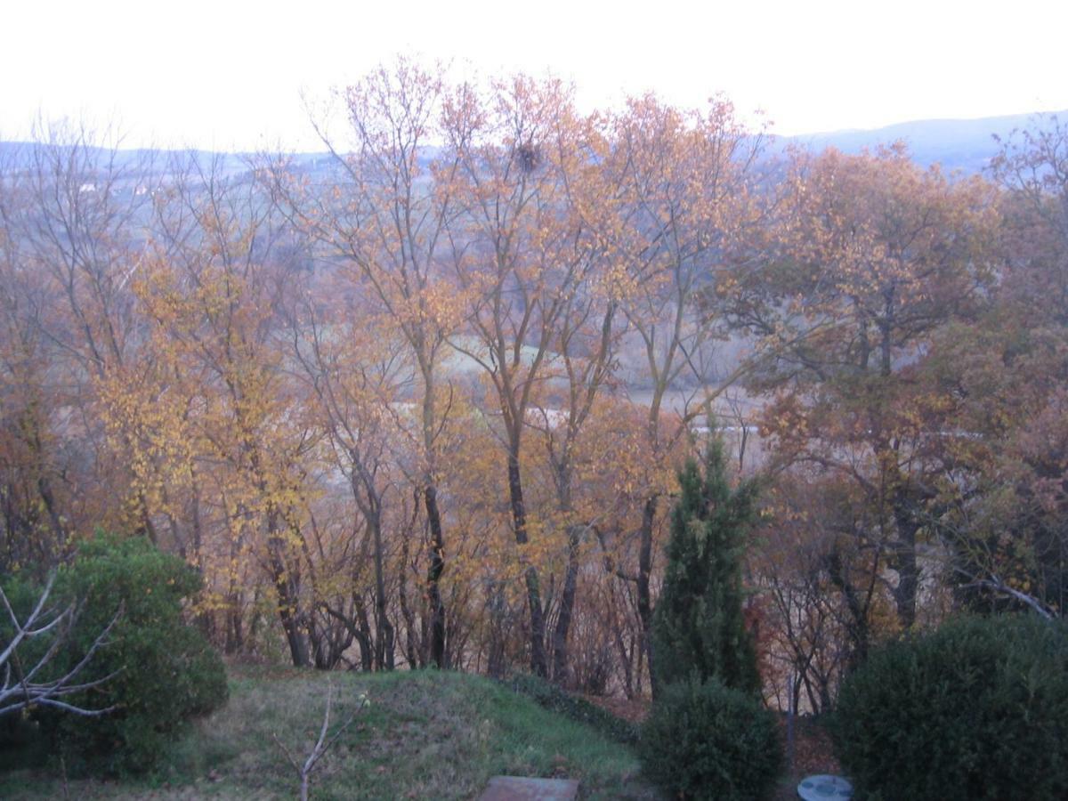 S. Bartolomeo Ii° - 